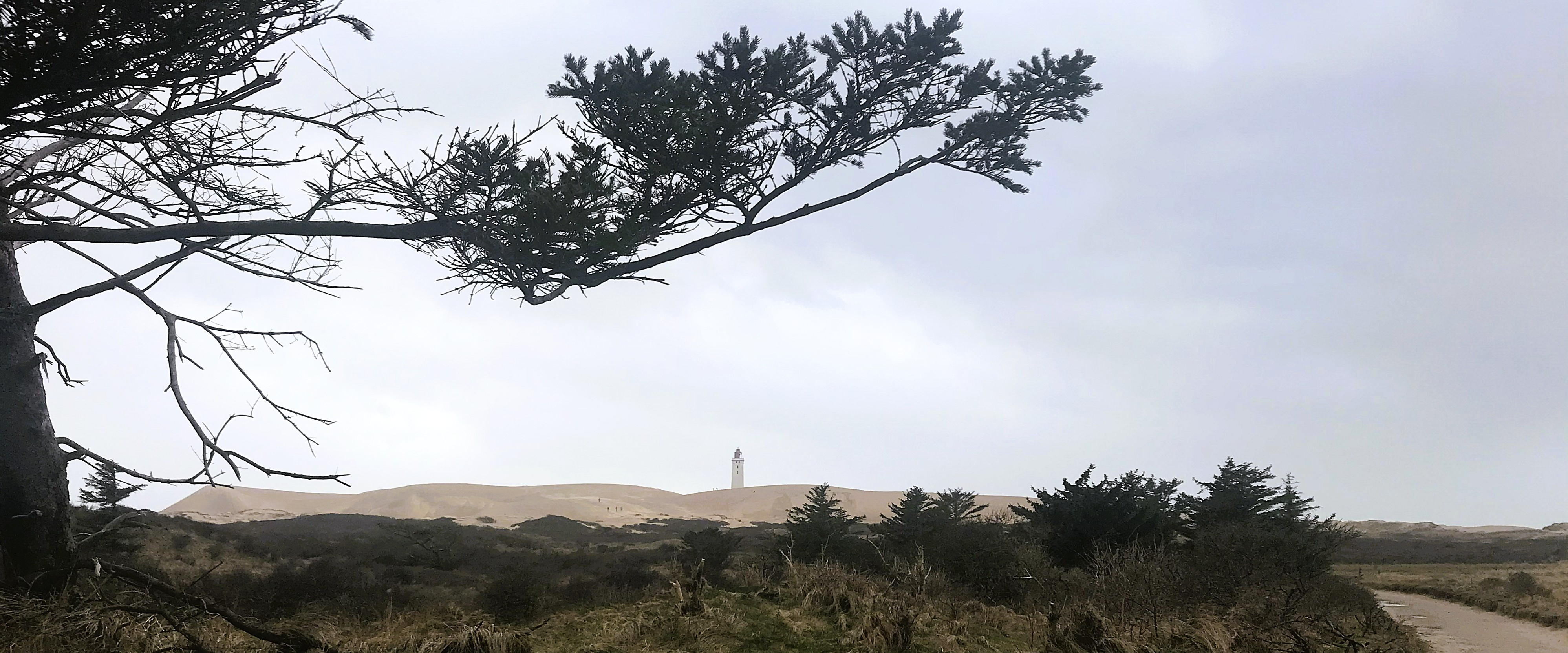 Rubjerg Knude - der wandernde Leuchtturm